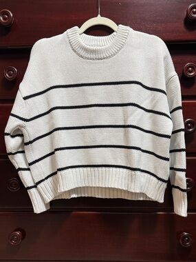 Quince Striped Organic Cotton Crewneck Sweater L